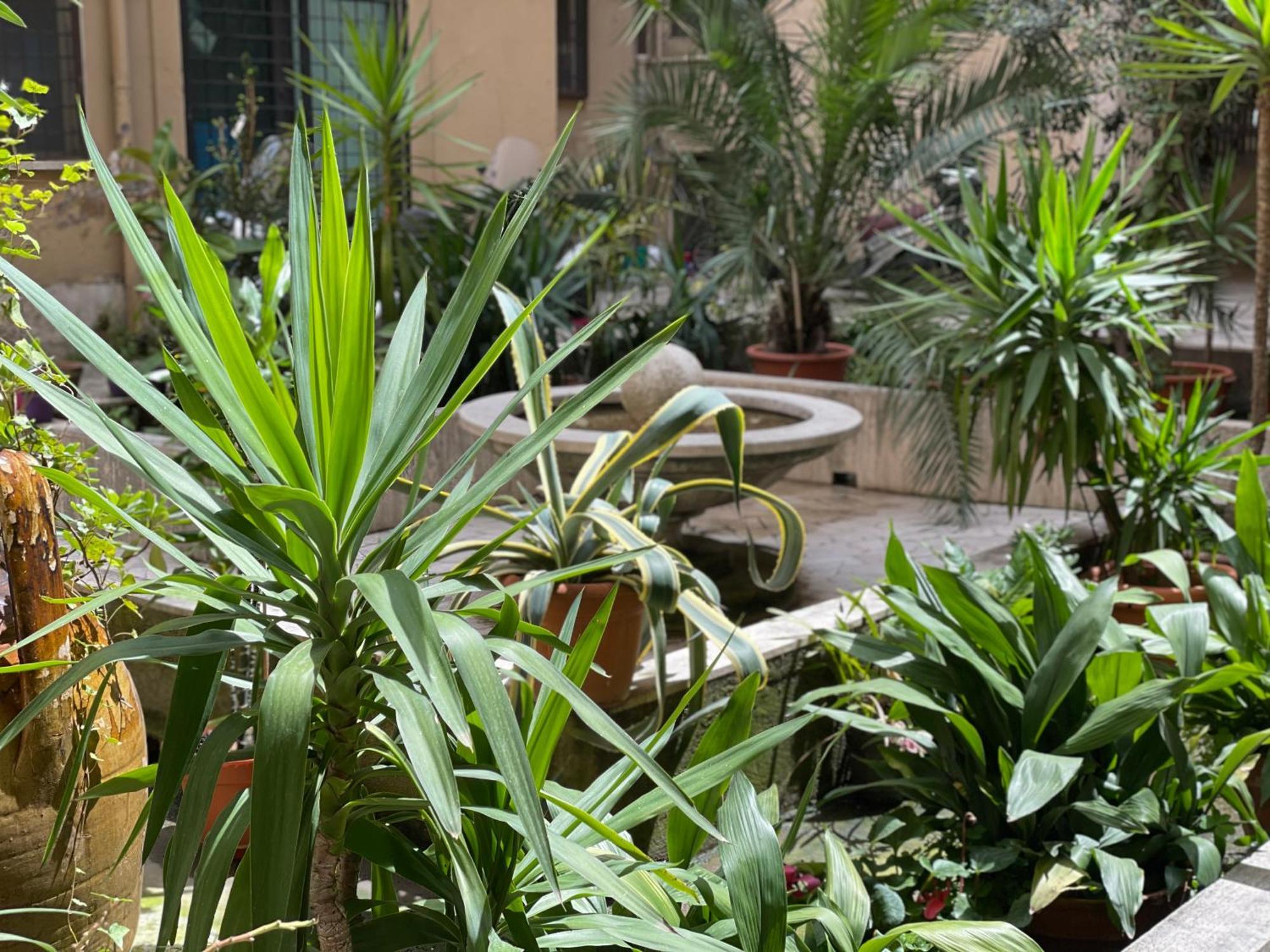Home Sweet Rome Vatican Bagian luar foto